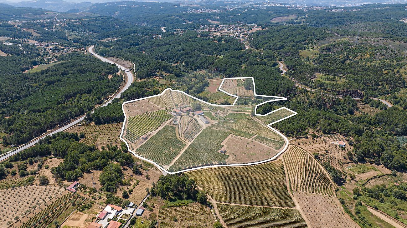Quinta à venda em Sabrosa