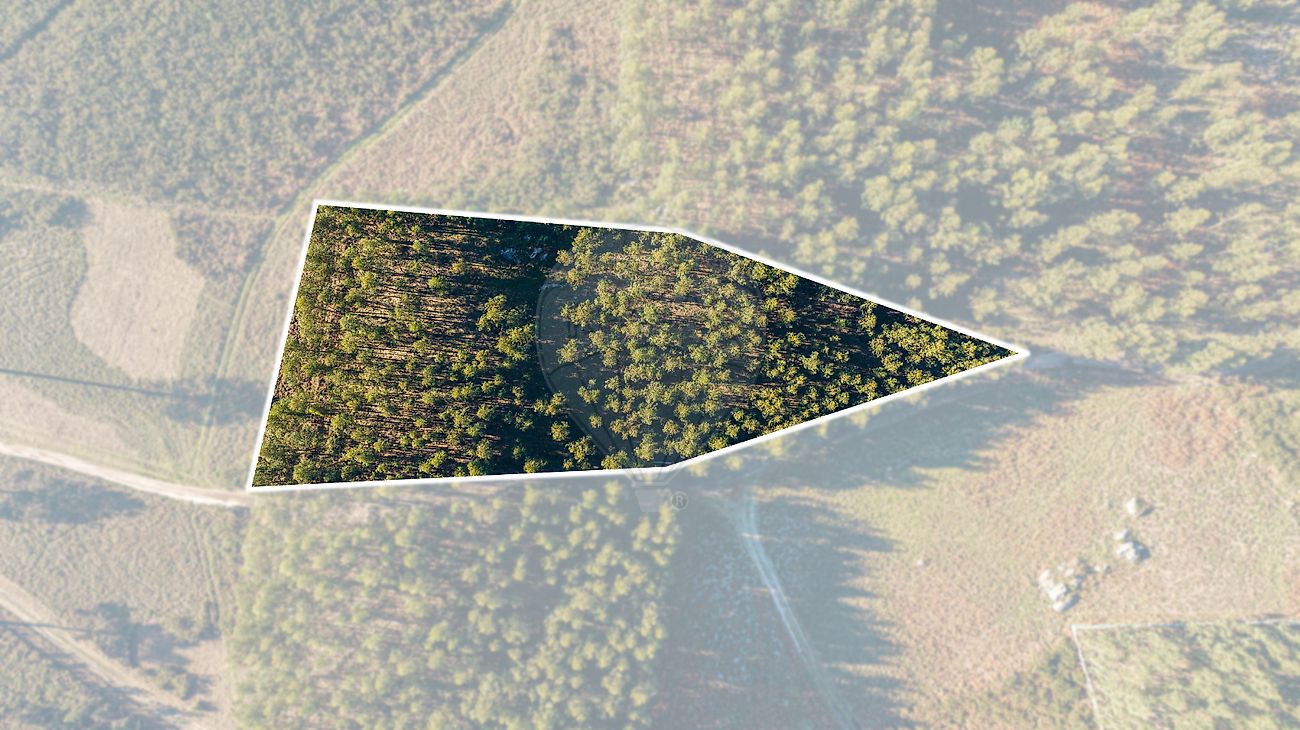 Terreno à venda em Fafe