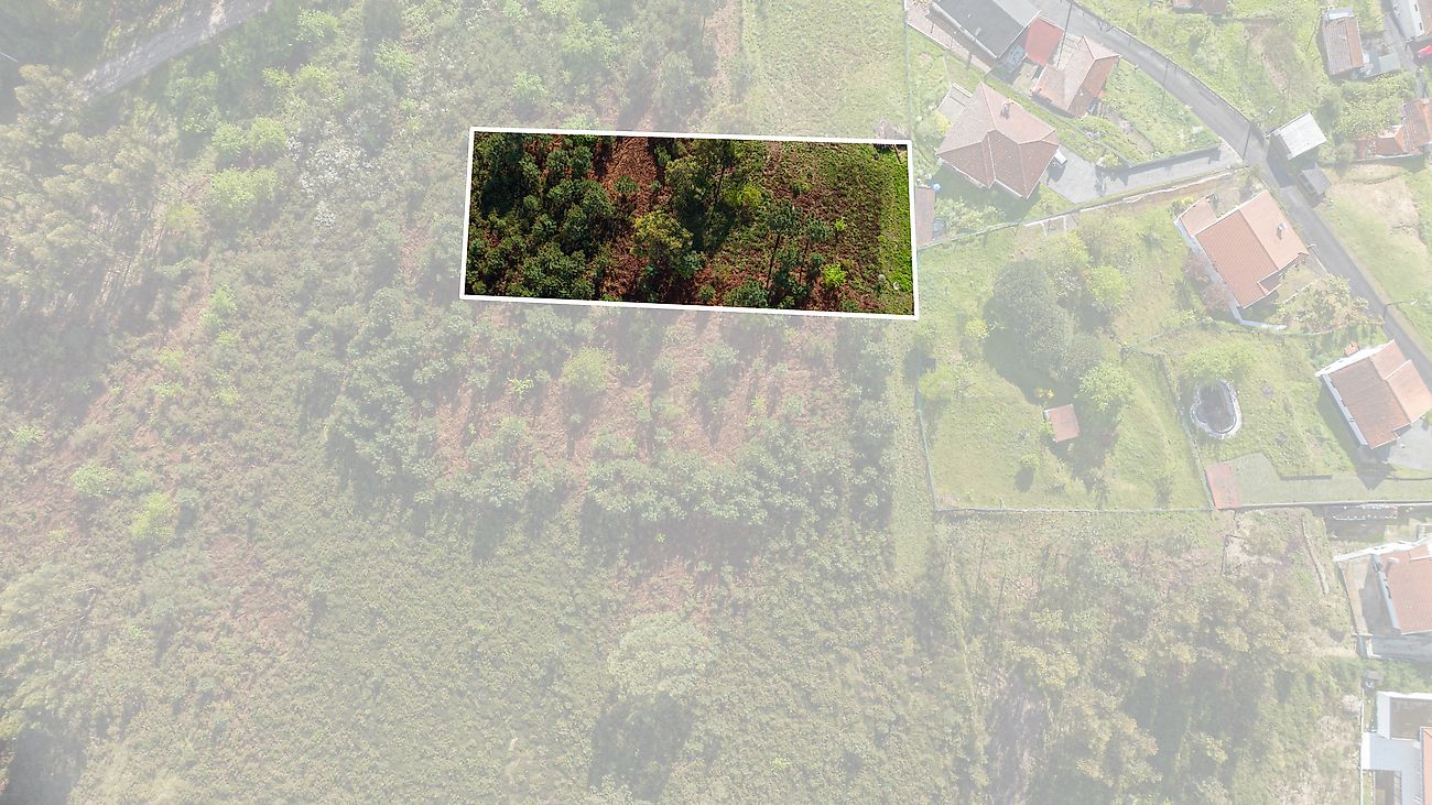 Terreno  à venda em Fafe