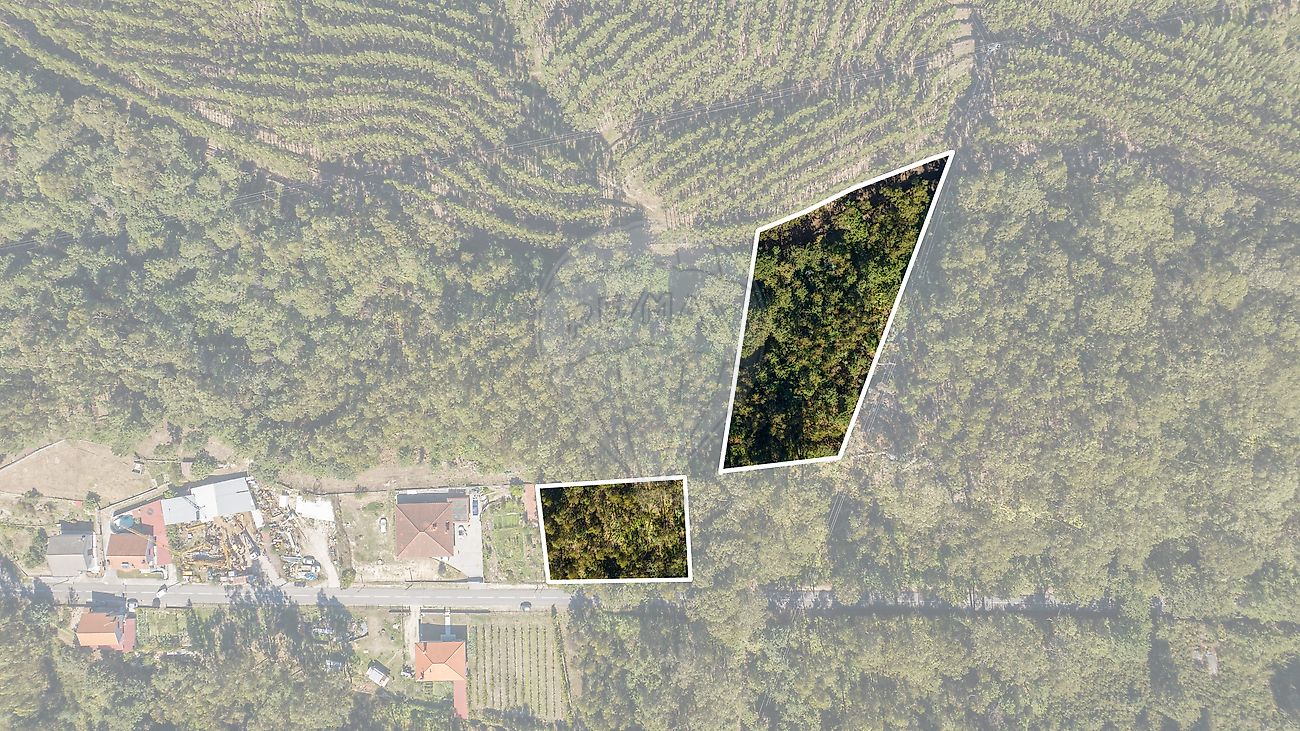 Terreno  para venda