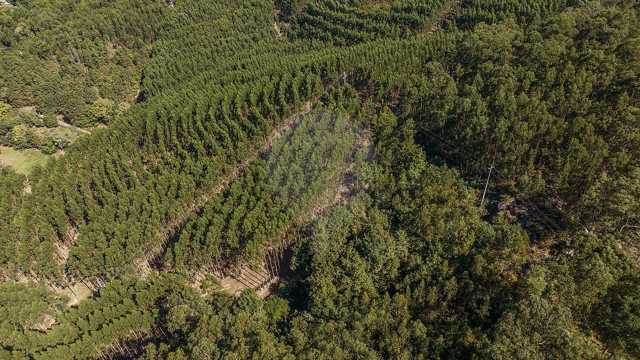 Terreno  para venda