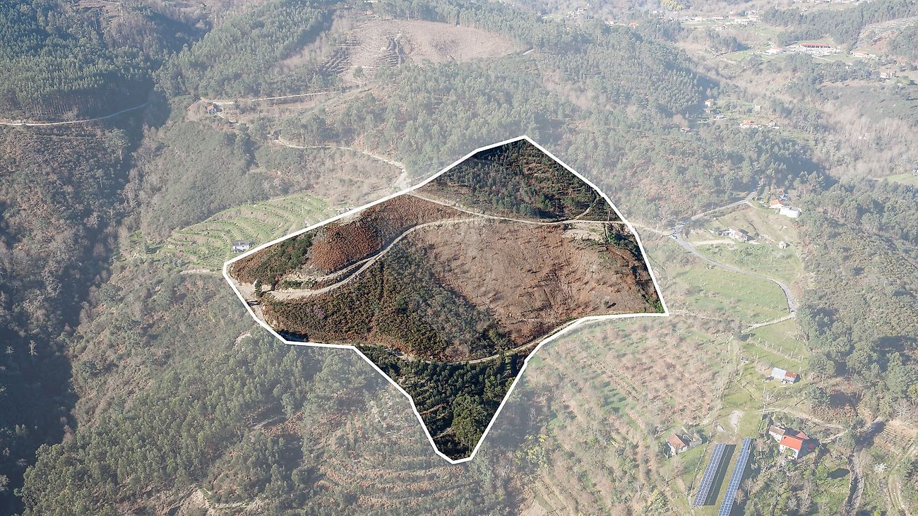 Terreno - Vale de Bouro, Celorico de Basto, Braga