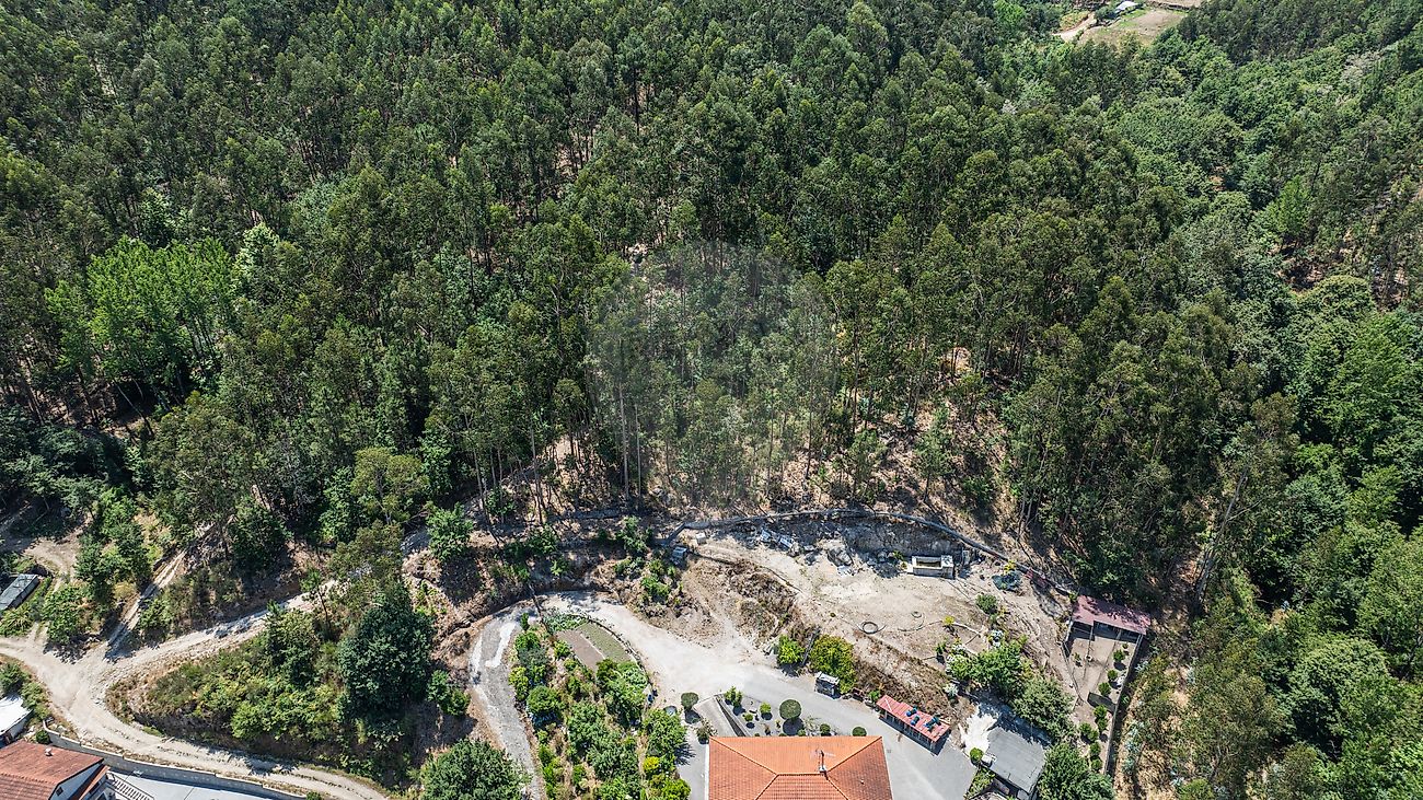 Terreno - São Gens, Fafe, Braga
