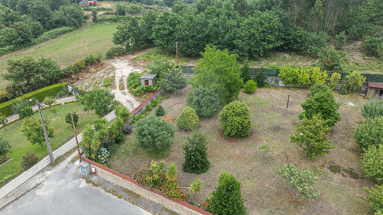 Terreno - Quinchães, Fafe, Braga