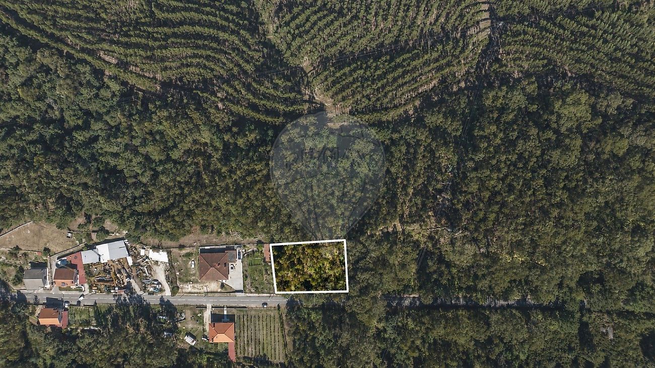 Terreno - Ribeiros, Fafe, Braga