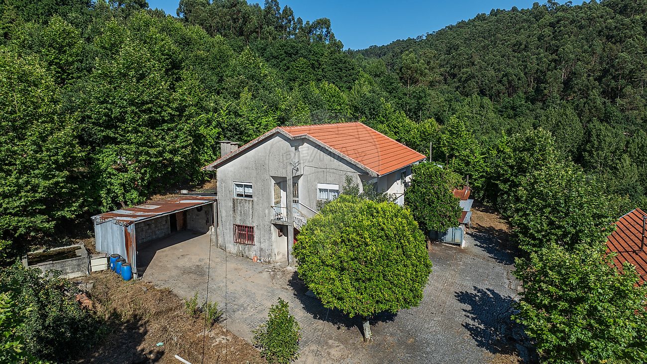 Quinta - São Gens, Fafe, Braga