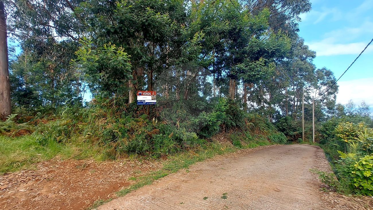 Terreno - São Jorge, Santana, Ilha da Madeira