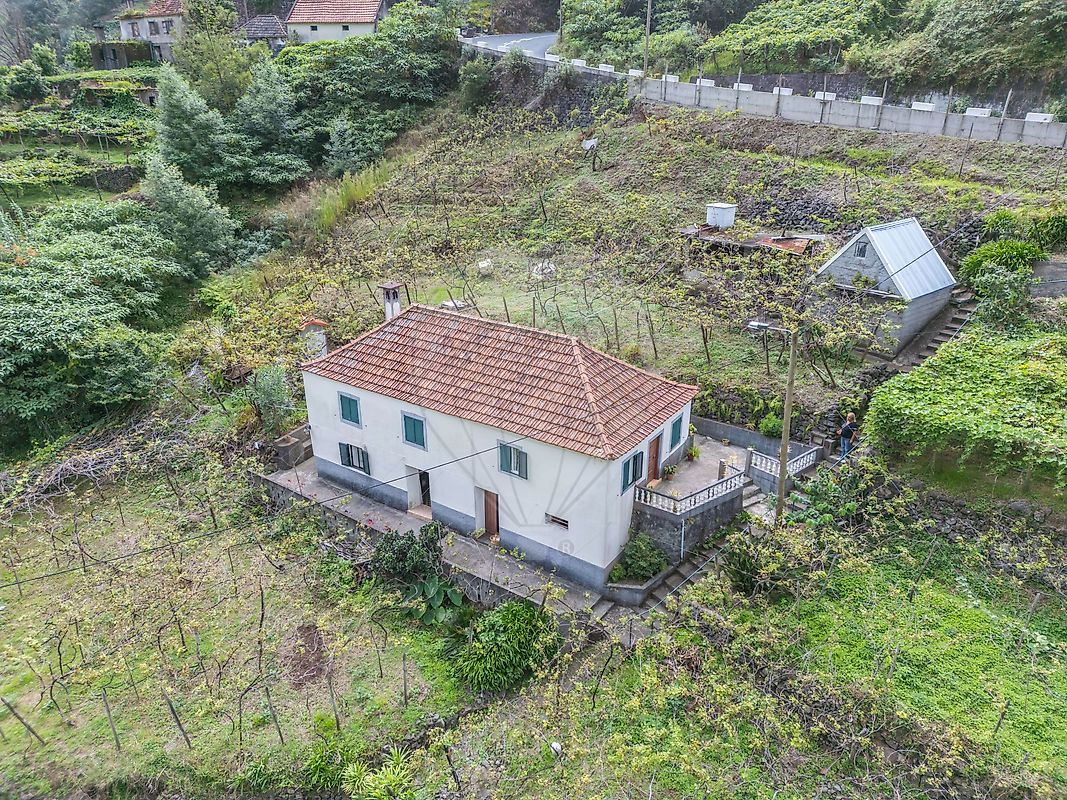 Moradia T3 à venda em Ilha, Santana — foto 10