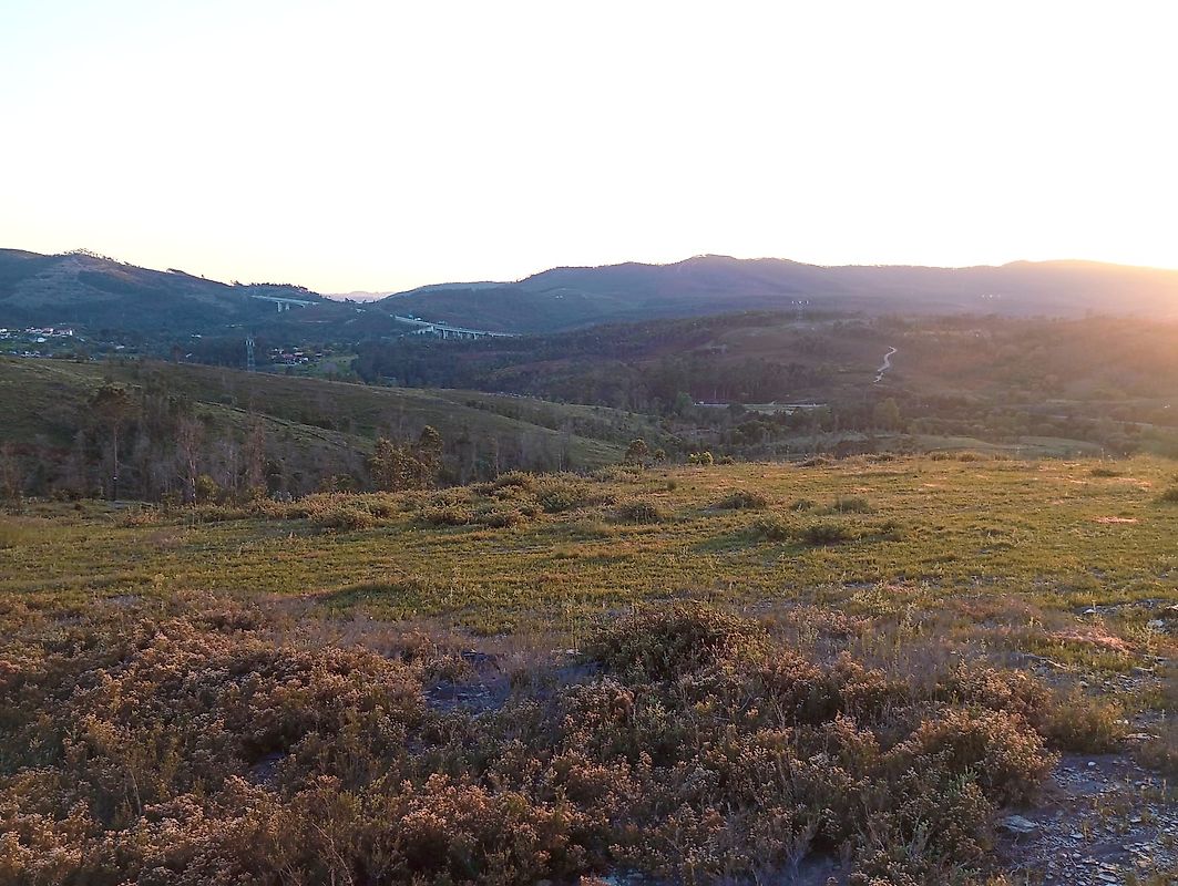 Terreno  à venda em Paredes