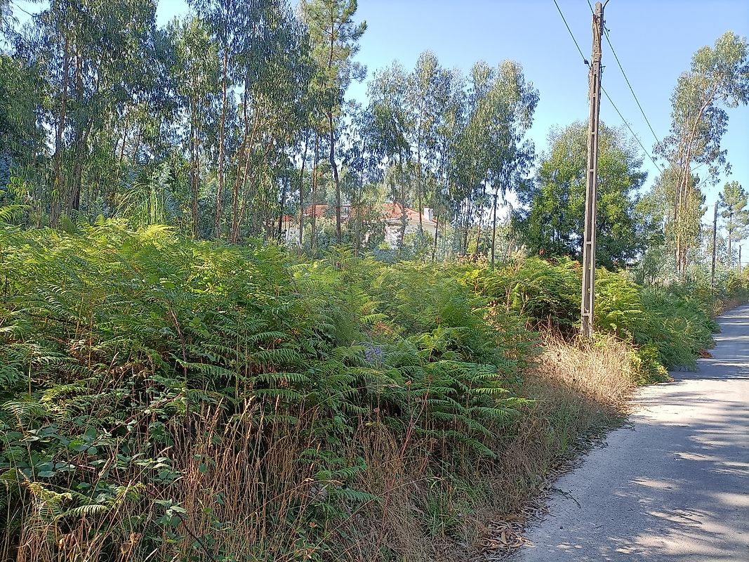 Land for sale in Santa Maria da Feira, Portugal — €140,000