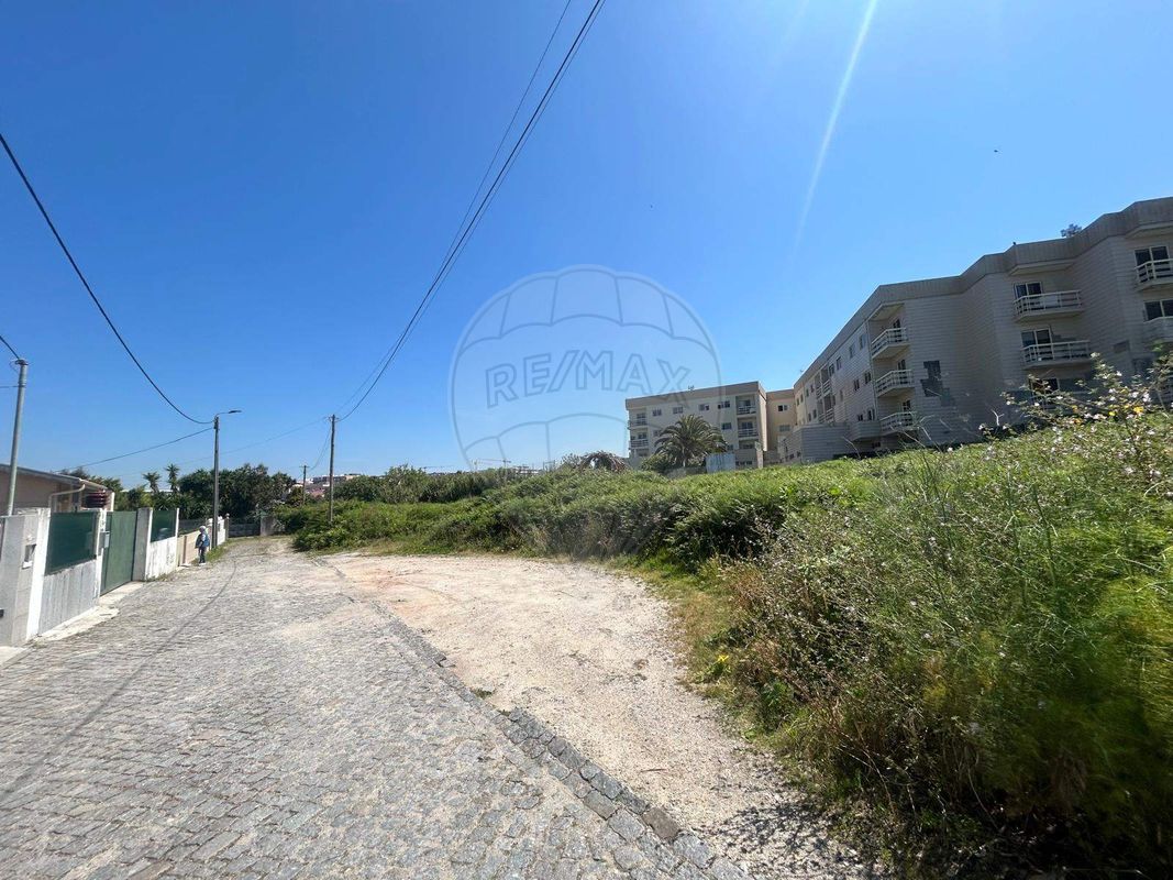 listing-picture-0