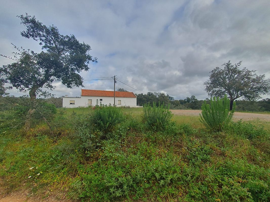 Quinta T1 à venda em Santiago do Cacém