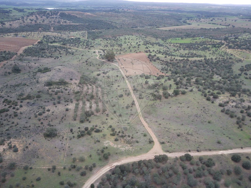 Terreno para venda