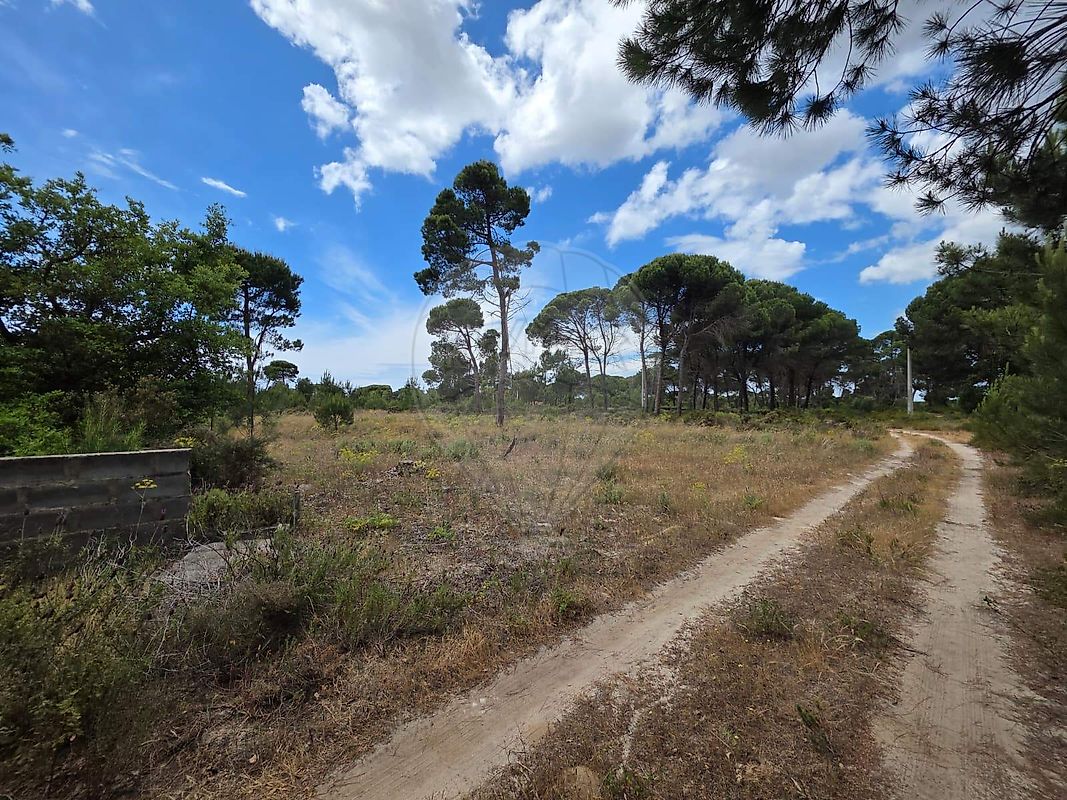 Terreno - Melides, Grândola, Setúbal