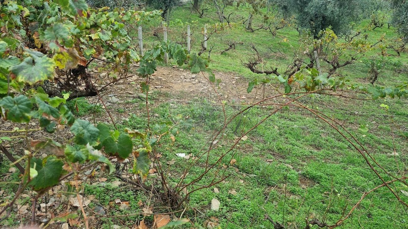 Terreno para venda