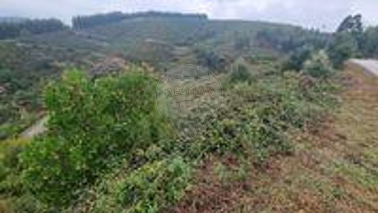 Terreno para venda