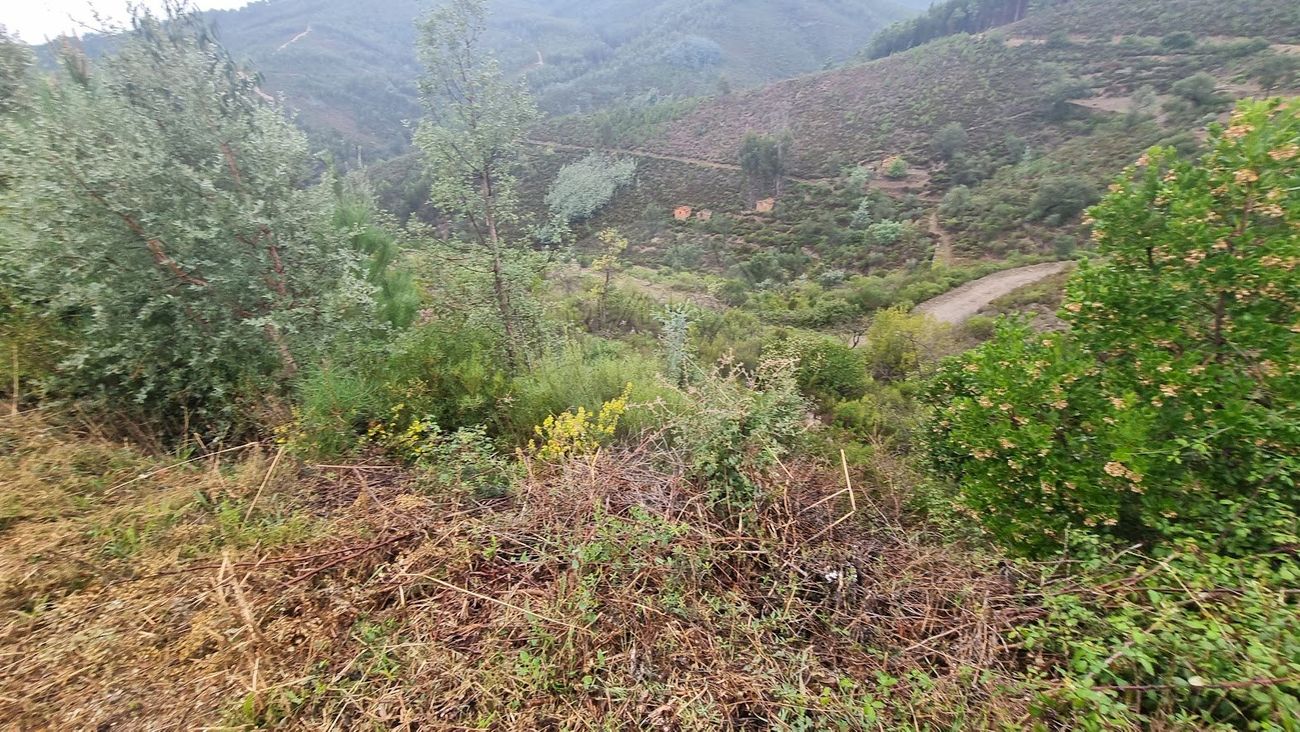 Terreno para venda