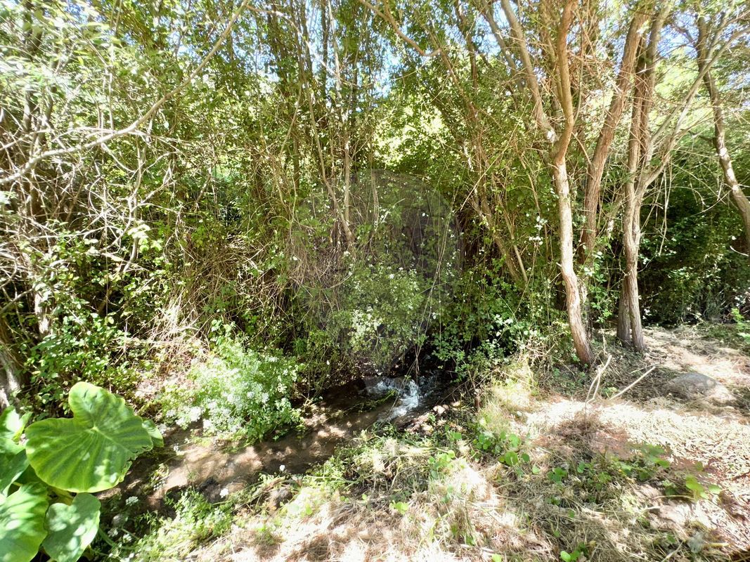 listing 125831079-14 picture-0