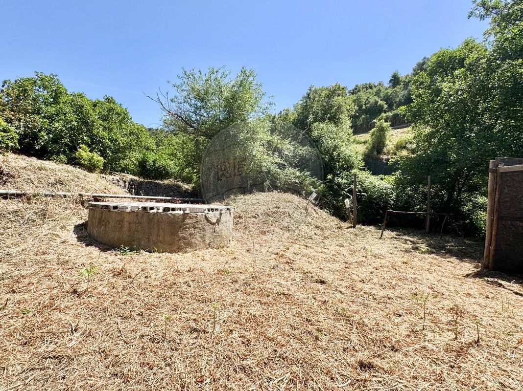 listing 125831079-14 picture-0