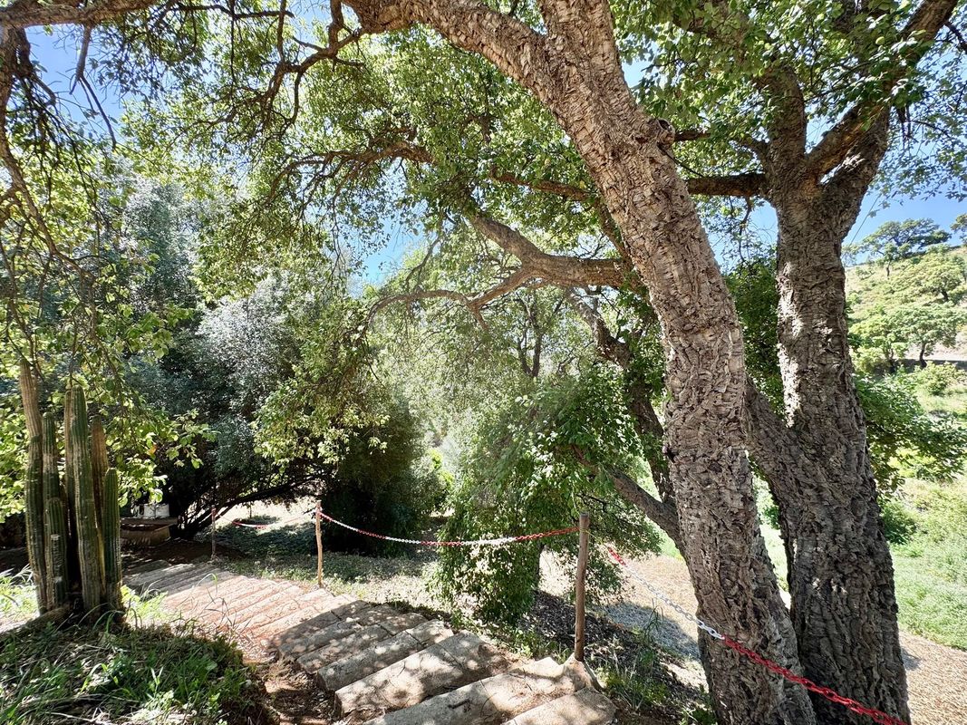 listing 125831079-14 picture-0