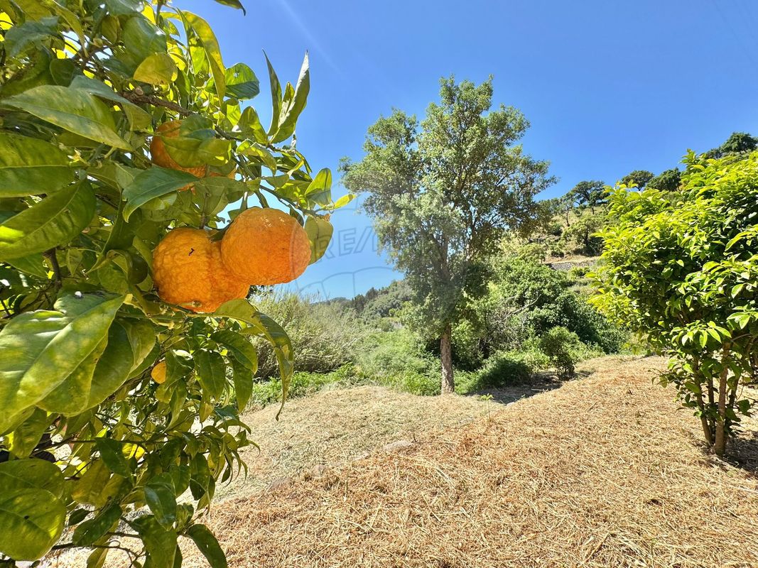 listing 125831079-14 picture-0