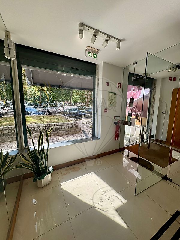 listing 125831095-24 picture-0