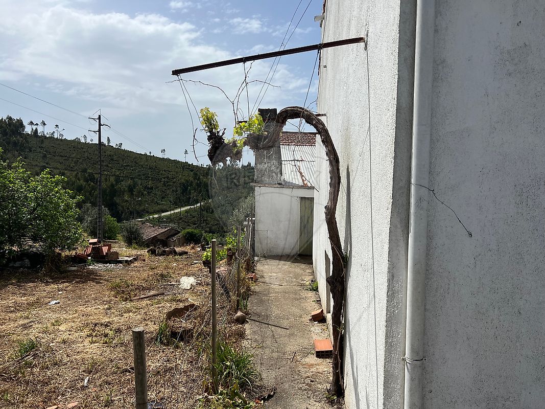 Moradia T3 à venda em São João do Peso, Vila de Rei — foto 17