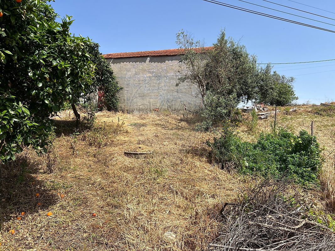 Terreno - São João do Peso, Vila de Rei, Castelo Branco