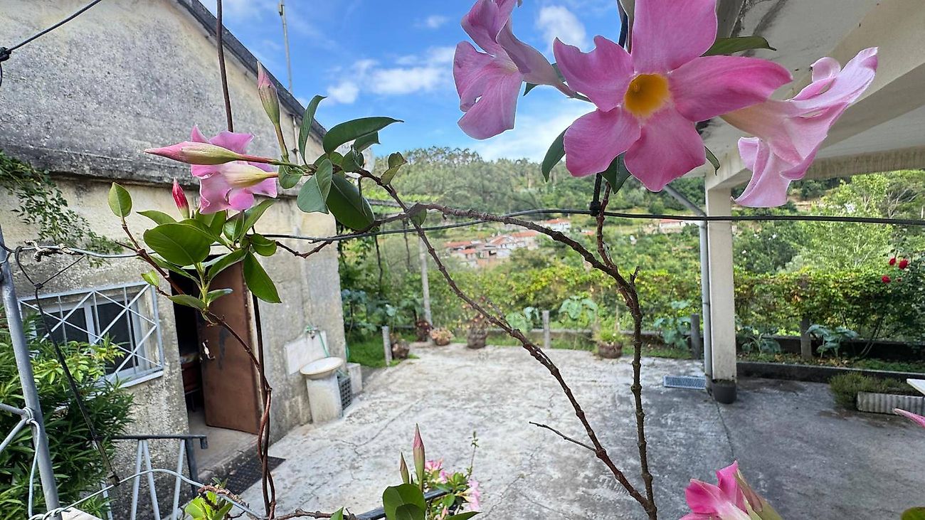 Moradia T1 à venda em Ribeira do Neiva, Vila Verde — foto 5