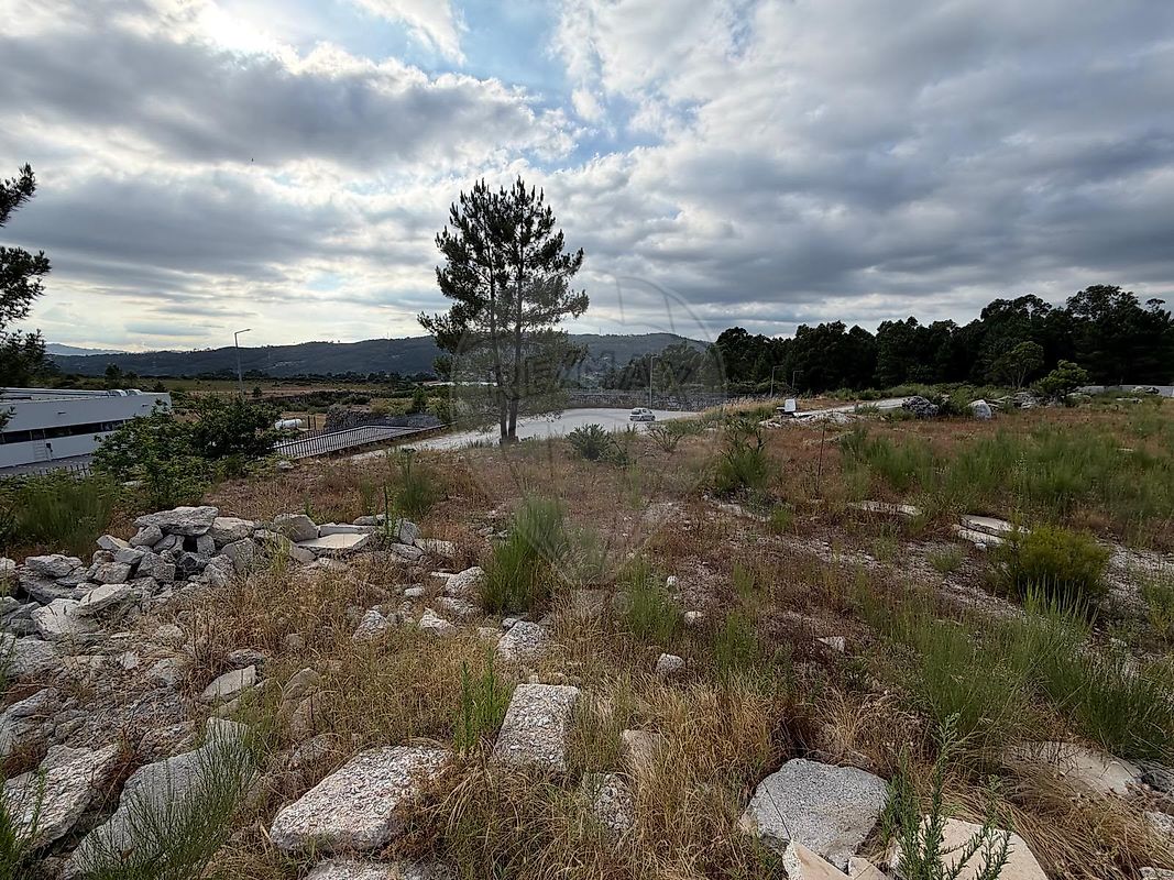 Terreno - Aboadela, Sanche e Várzea, Amarante, Porto
