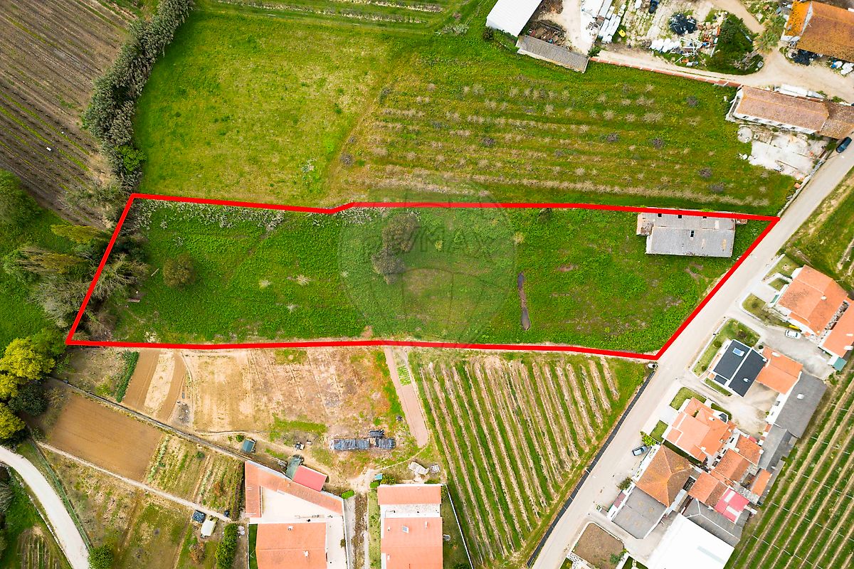 Terreno à venda em Junceira