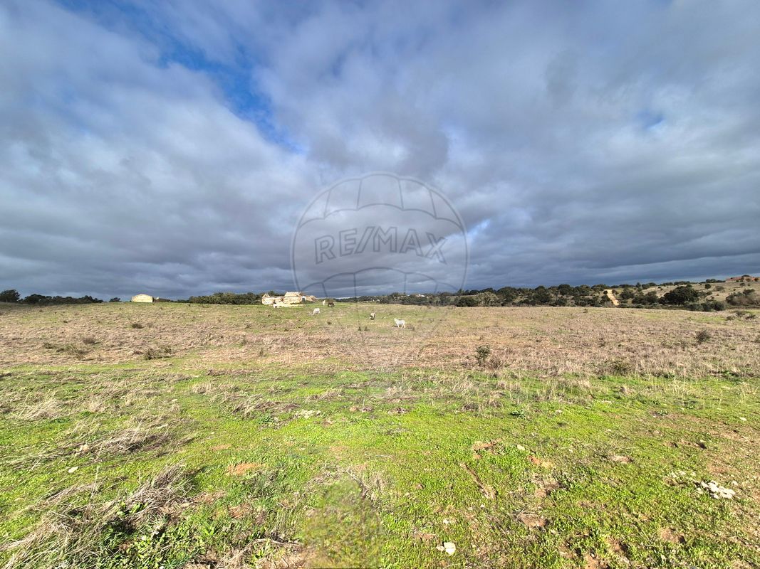 listing 125841058-4 picture-0