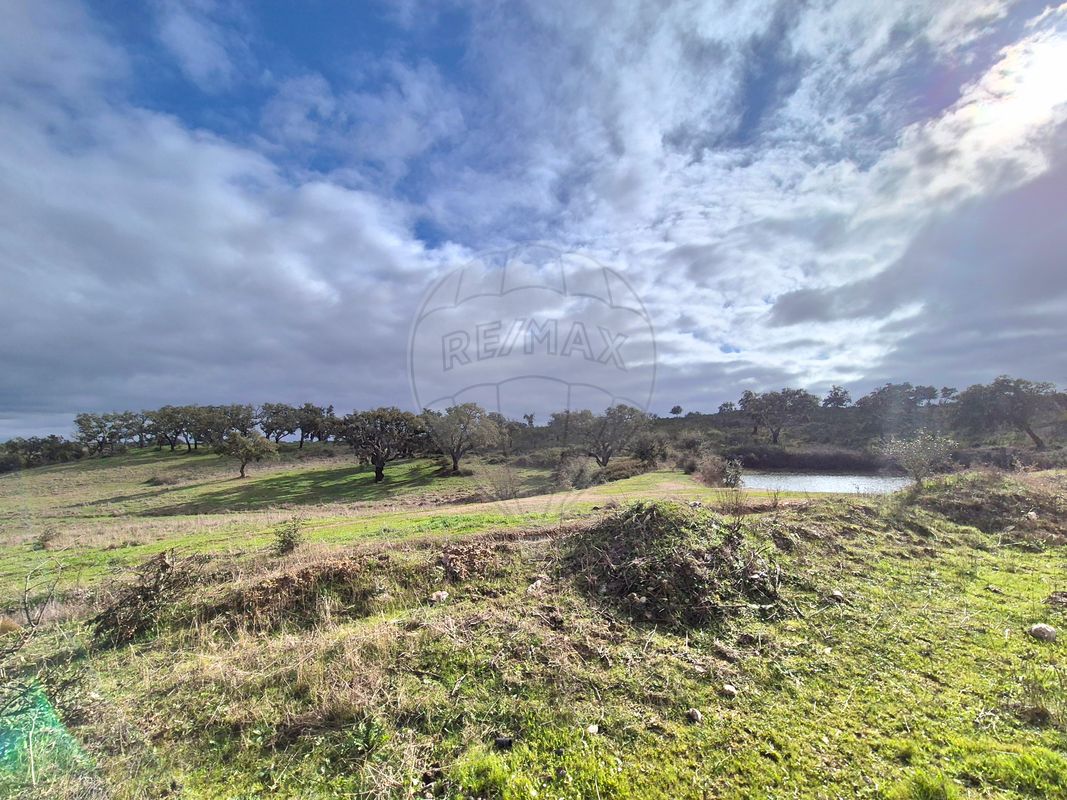 listing 125841058-4 picture-0