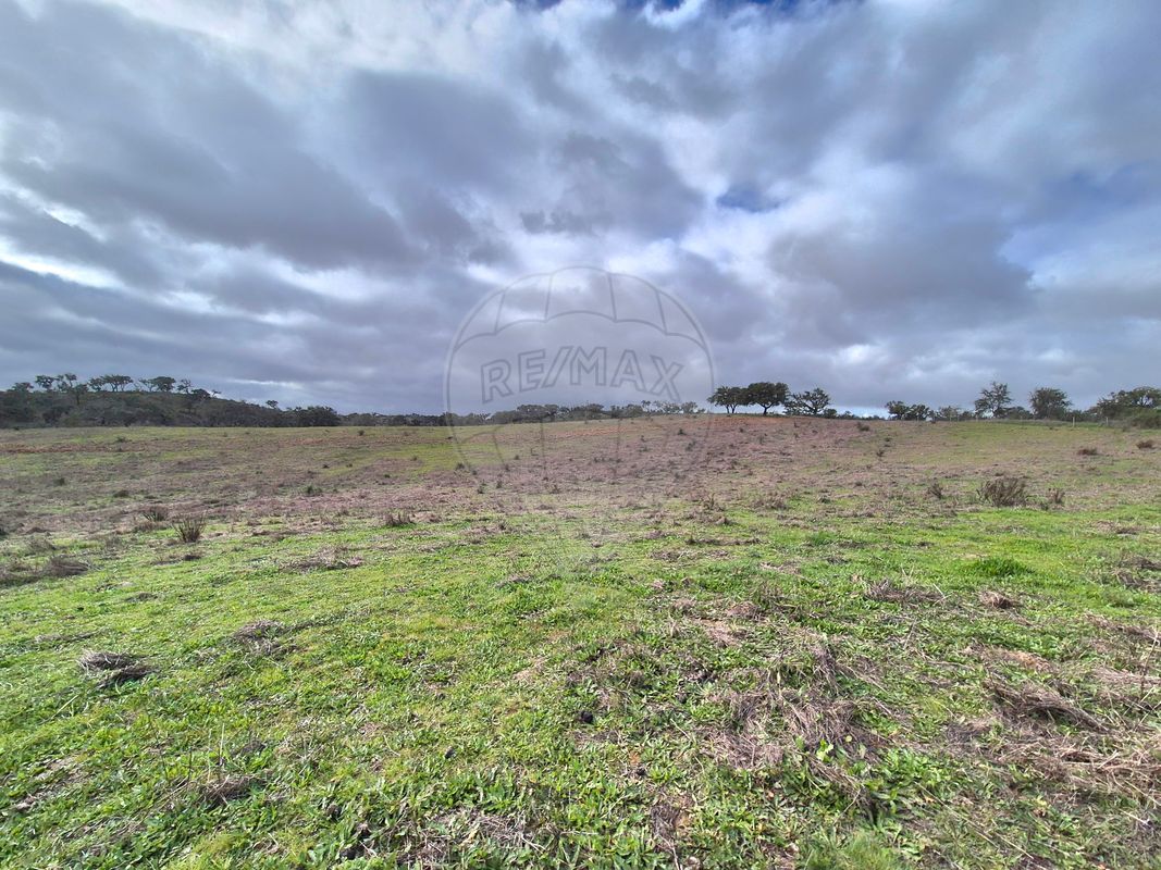 listing 125841058-4 picture-0