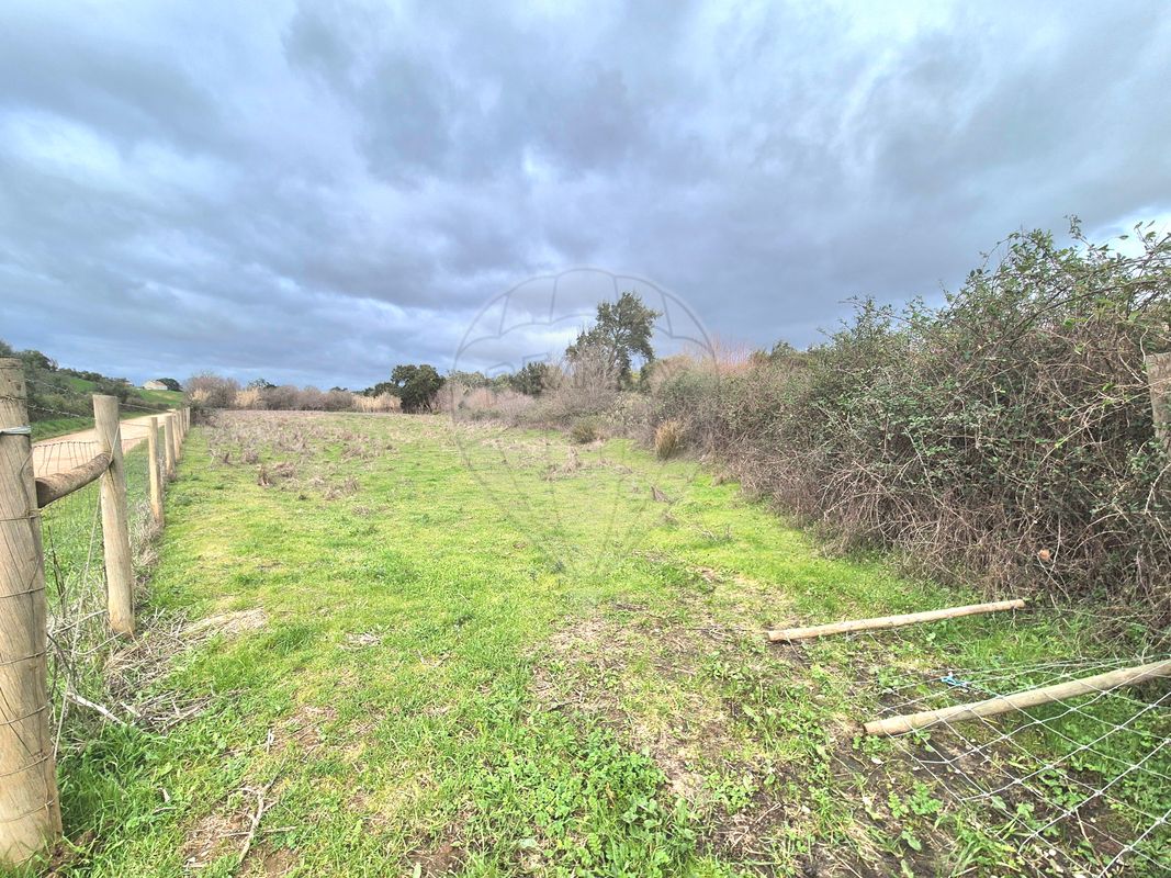 listing 125841058-4 picture-0