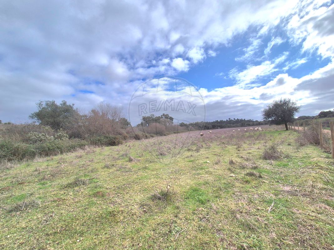 listing 125841058-4 picture-0