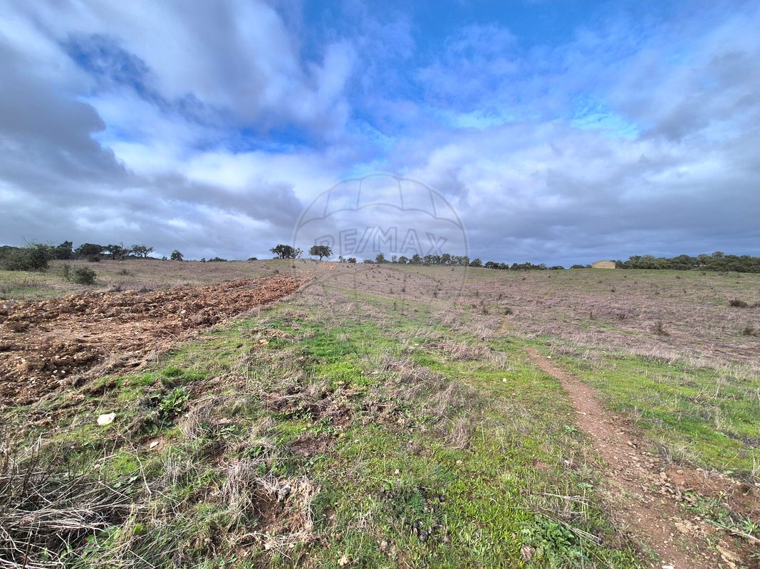 listing 125841058-4 picture-0