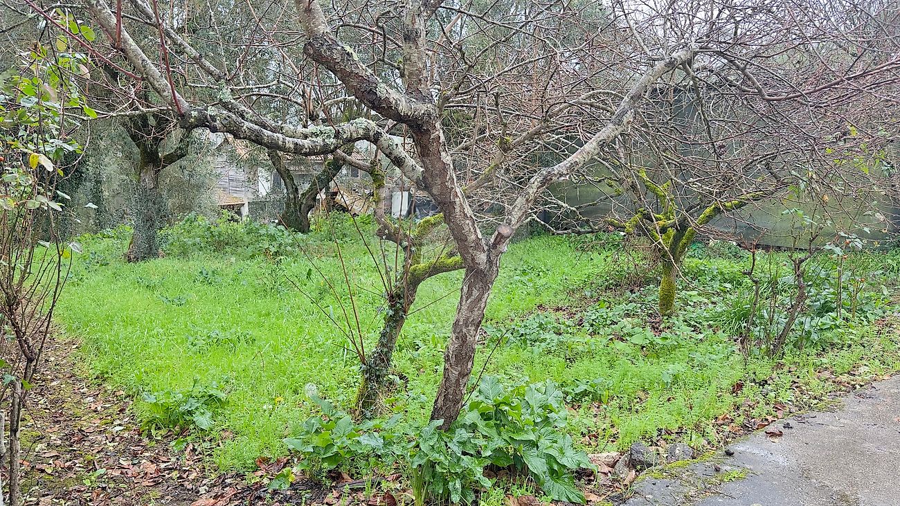 Terreno para venda