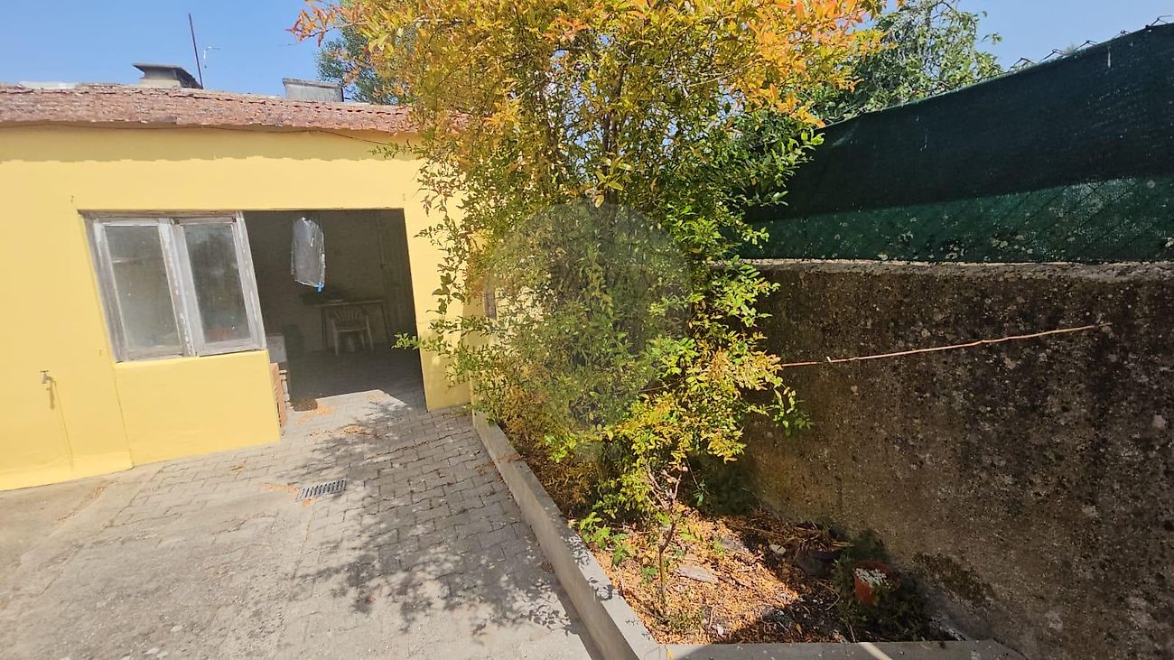 listing 125841074-1 picture-0