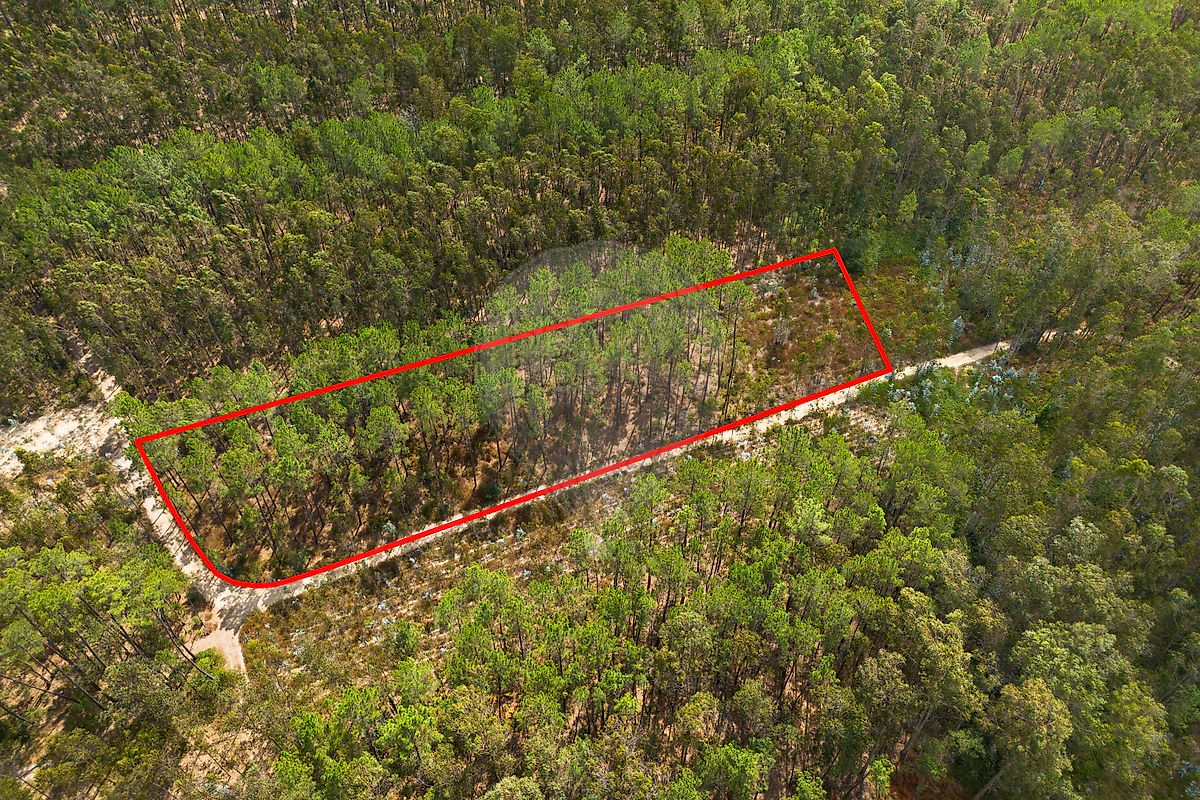 Terreno para venda