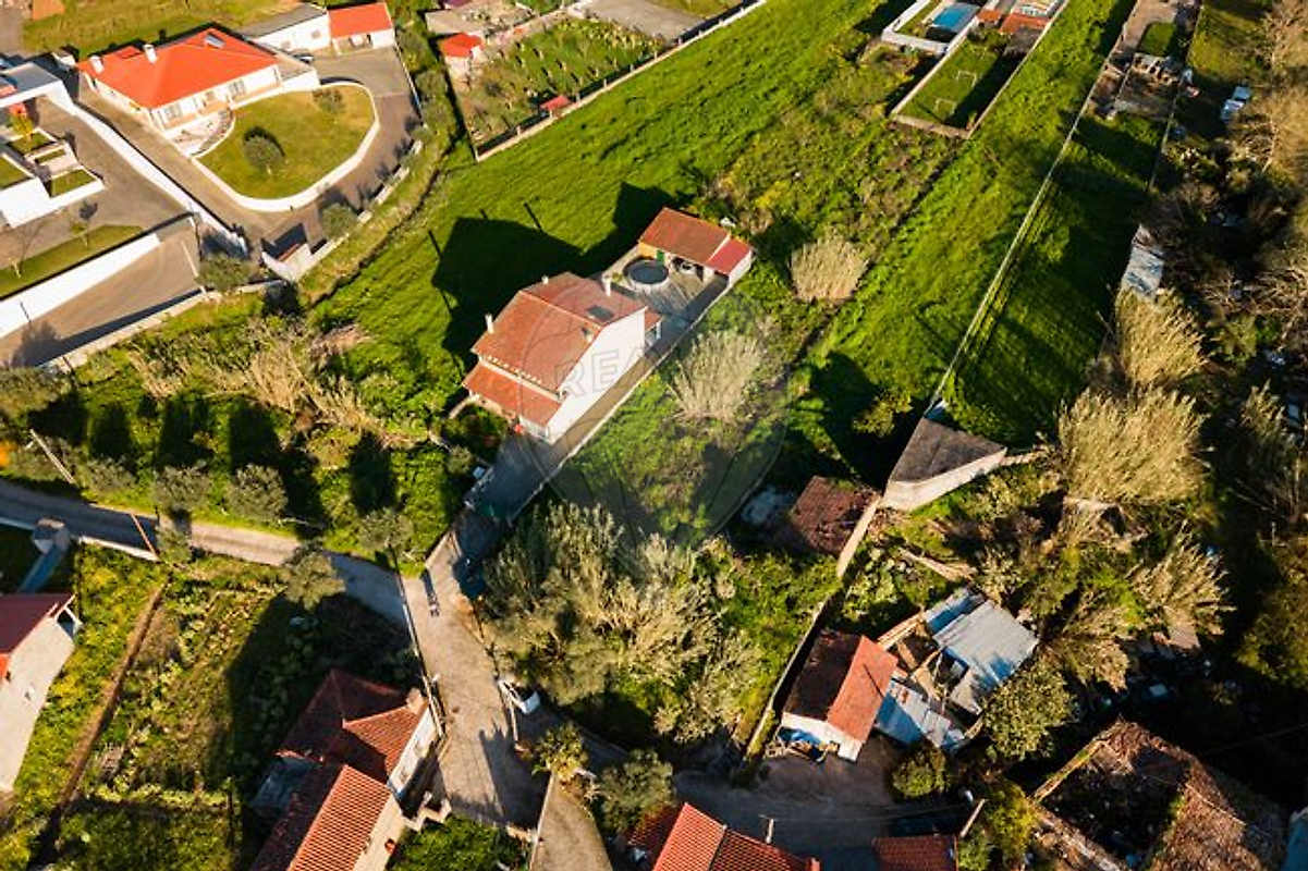 Terreno - Sebal e Belide, Condeixa-a-Nova, Coimbra