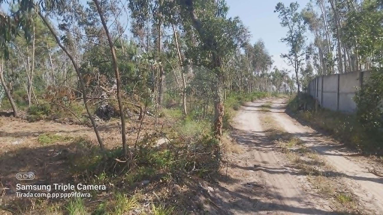 Terreno - Marinha Grande, Marinha Grande, Leiria