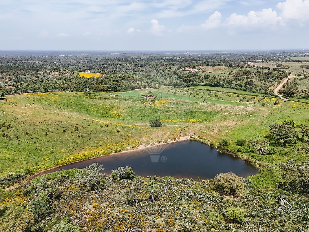 Terreno - Cercal, Santiago do Cacém, Setúbal