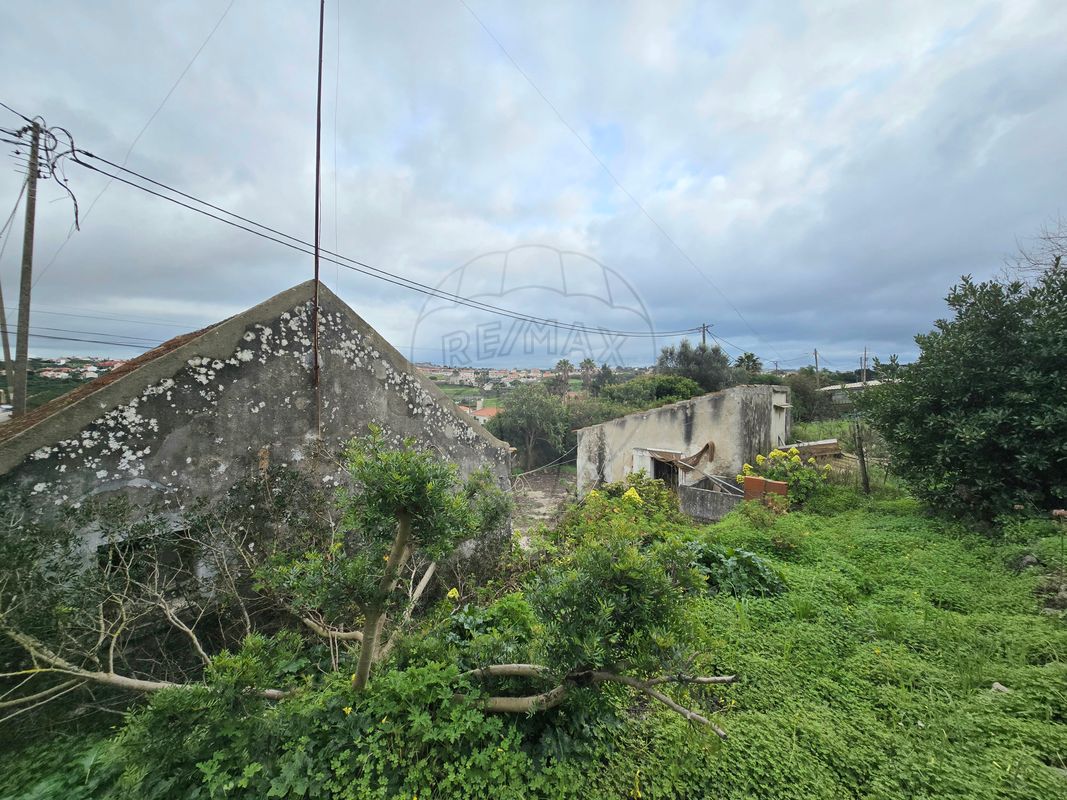 listing-picture-0