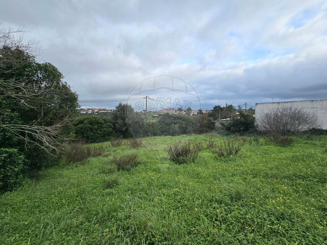listing-picture-0