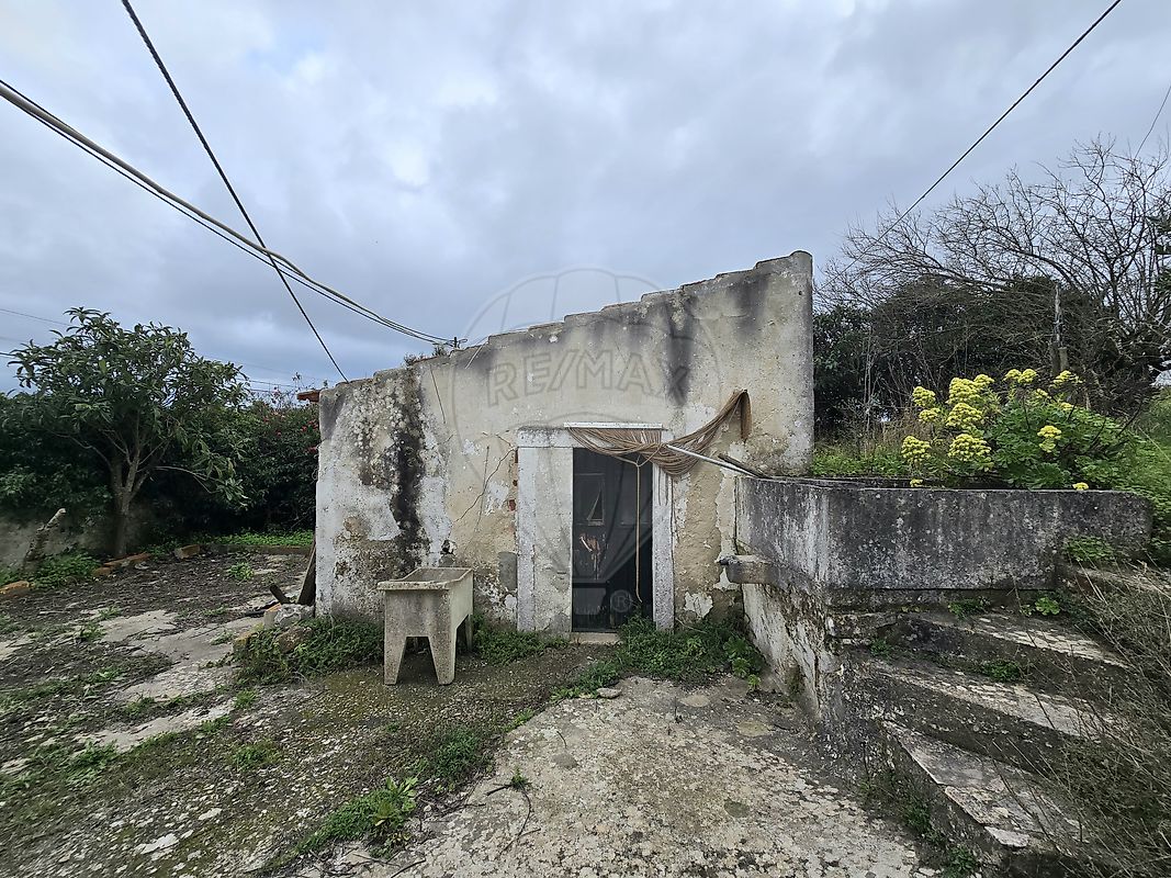 listing-picture-0