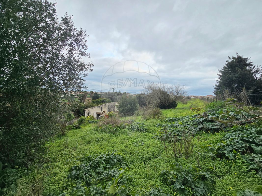 listing-picture-0