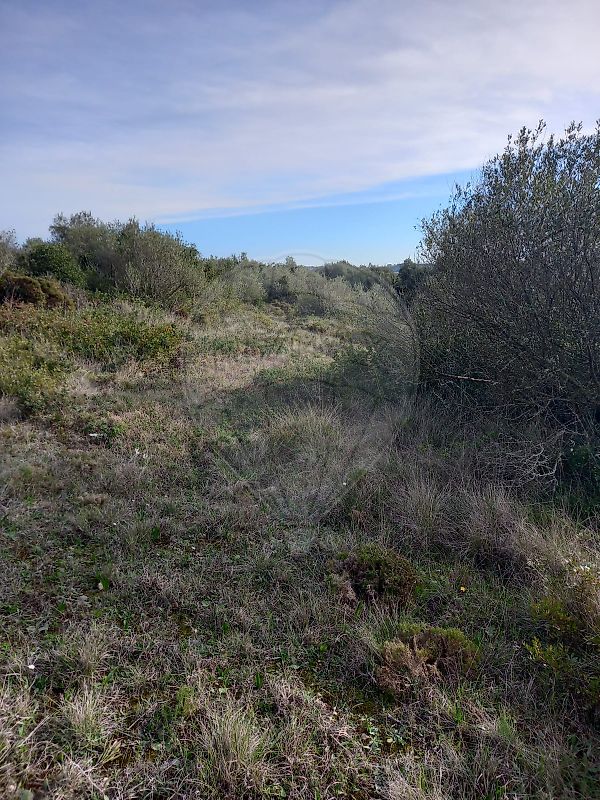 Terreno  à venda em Sintra