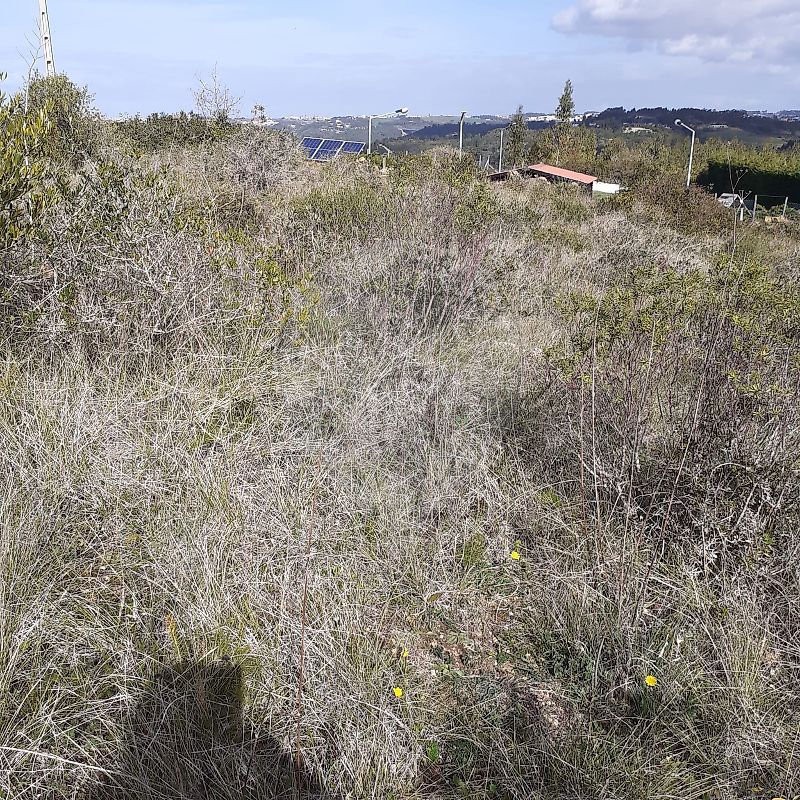 Terreno  à venda em Mafra