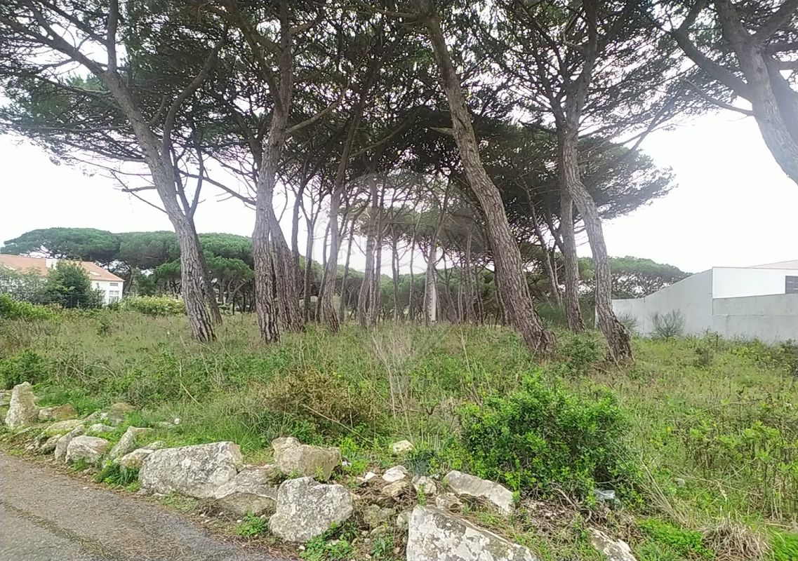 listing-picture-0